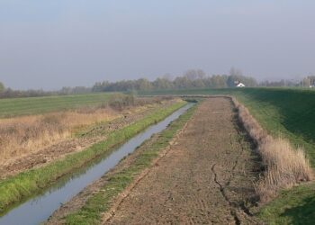 Baranów Sandomierski: Jesienny przegląd zabezpieczeń przeciwpowodziowych