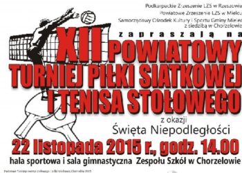 Mielec:  Powiatowe Turnieje tenisa stołowego i piłki siatkowej Chorzelów 2015.