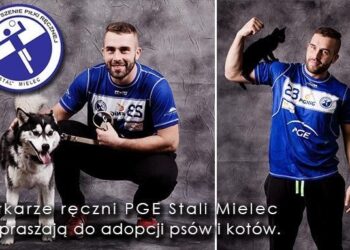 Mielec: Nie trzeba kupować, można zaadoptować.