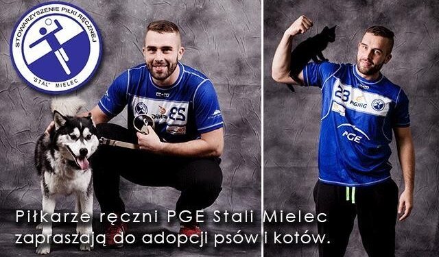Mielec: Nie trzeba kupować, można zaadoptować.