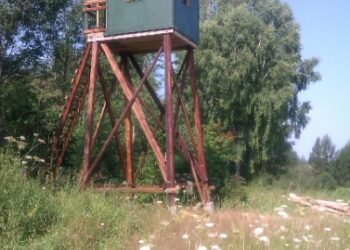 Mielec: Zniszczył ambonę, bo nie lubi myśliwych.
