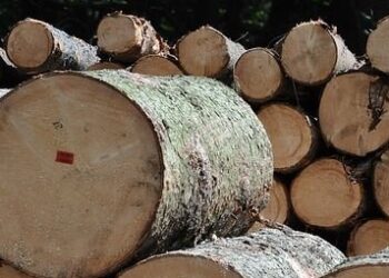 Mielec: Żadna  pora roku nie przeszkadza