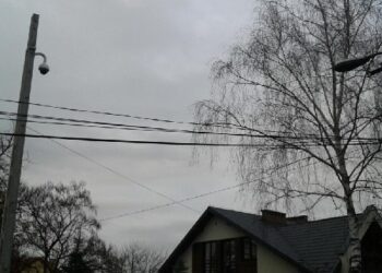 Mielec: Big Brother w nadleśnictwie.