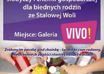 Stalowa Wola: Zbiórka darów w galerii.