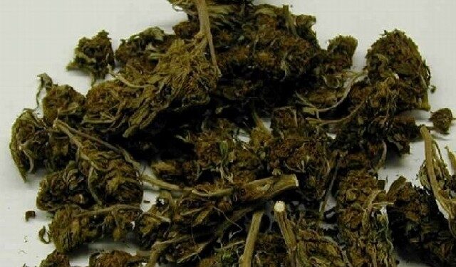 Kolbuszowa: Marihuana u ucznia.