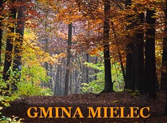 Mielec: Gmina Mielec z większym budżetem, a mniejszym deficytem.