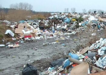 Kolbuszowa: Dzikie wysypiska śmieci w lasach