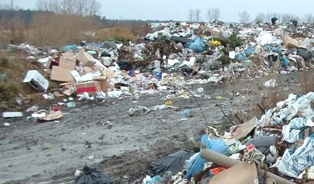 Kolbuszowa: Dzikie wysypiska śmieci w lasach