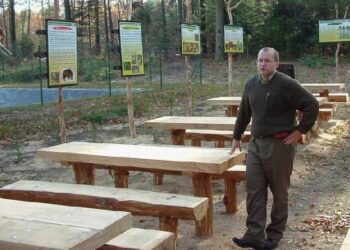 Kolbuszowa: Problemy z wycinką drzew