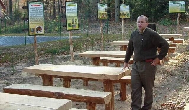 Kolbuszowa: Problemy z wycinką drzew