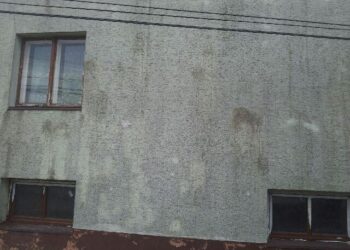 Mielec:  Obrzucili jajkami.