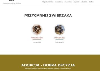 Mielec: Nowa strona  dla schroniska.