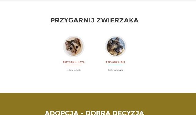 Mielec: Nowa strona dla schroniska.