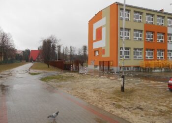 Stalowa Wola: W tym roku więcej miejsc parkingowych przy PSP7.