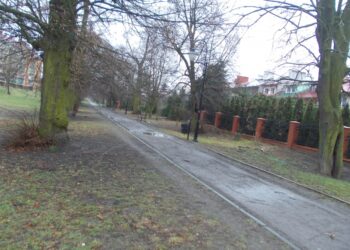 Tarnobrzeg. Dla dobra pomników przyrody.