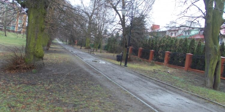 Tarnobrzeg. Dla dobra pomników przyrody.