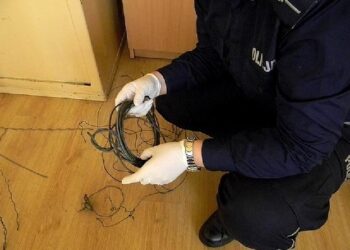 Dzikowiec: Nielegalnie zabijał dziką zwierzynę.