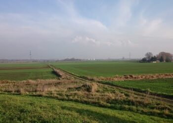 Mielec:  Polder zalewowy w końcu powstanie.