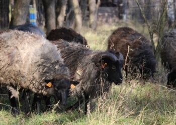 Nowa Dęba: Stworzyli Dobre Miejsce