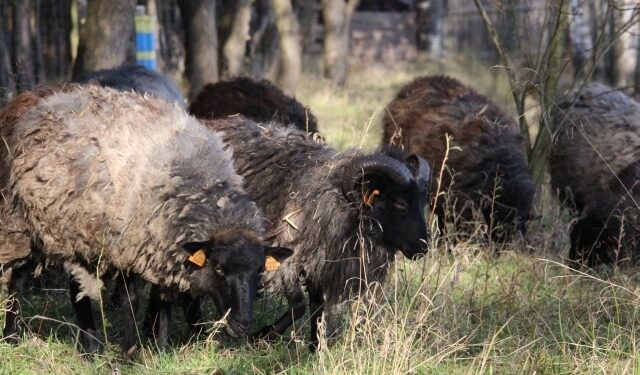 Nowa Dęba: Stworzyli Dobre Miejsce
