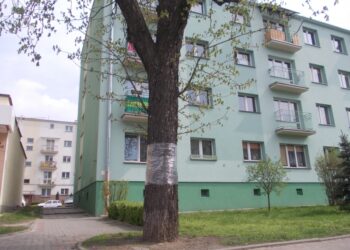 Tarnobrzeg. Walczą ze szrotówkiem kasztanowcowiaczkiem.