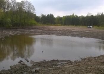 Tarnobrzeg. Sprawa ropuch wywołała zamieszanie w mieście.