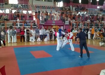 Sandomierz: Turniej karate