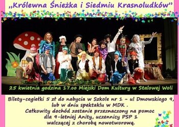Stalowa Wola: Obejrzyj w poniedziałek Królewnę Śnieżkę i pomóż Anicie