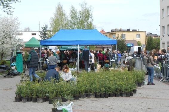 Stalowa Wola: Brali zielone za makulaturę