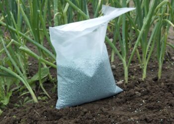 Region: Środki ochrony roślin? Tak, ale oznakowane i wraz z zezwoleniem.