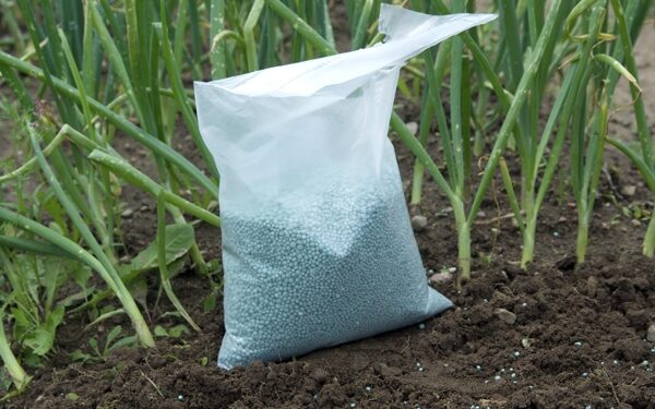 Region: Środki ochrony roślin? Tak, ale oznakowane i wraz z zezwoleniem.