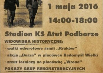 Mielec:  Piknik historyczny