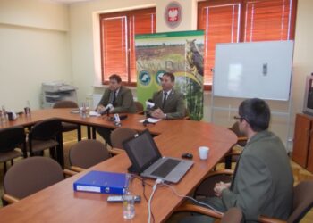 Tarnobrzeg. W Zwierzyńcu trwa przebudowa drzewostanu.