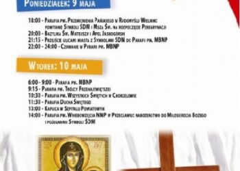 Mielec: Symbole  SDM w Mielcu