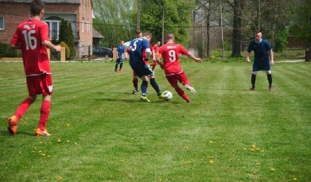 Mielec:  Wyniki PALP