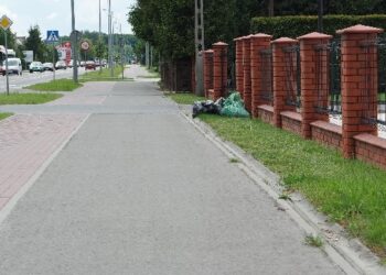 Mielec: Zielony sezon w MPGK rozpoczęty