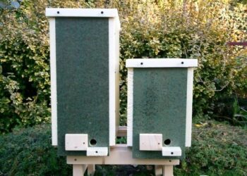 Mielec: Jak powstaje miód