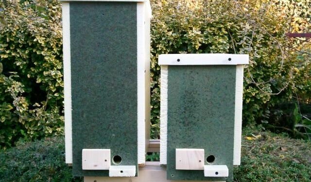 Mielec: Jak powstaje miód