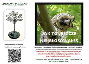 Stalowa Wola: Walka o drzewko solarne trwa.