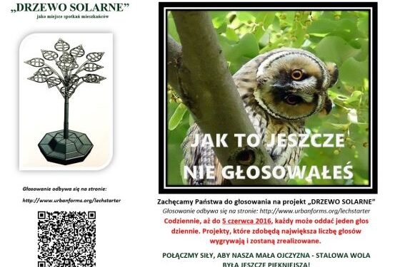 Stalowa Wola: Walka o drzewko solarne trwa.