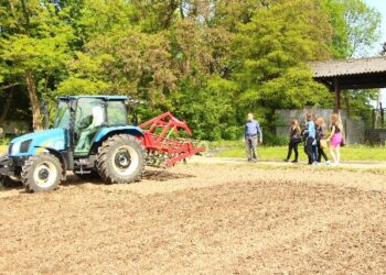 Sandomierz: Mokoszyn kusi gimnazjalistów.