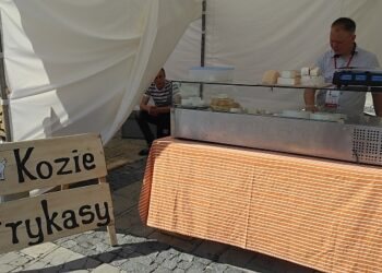 Sandomierz: Czas dobrego sera