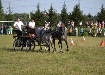 Mielec;  Żarówkowa parada