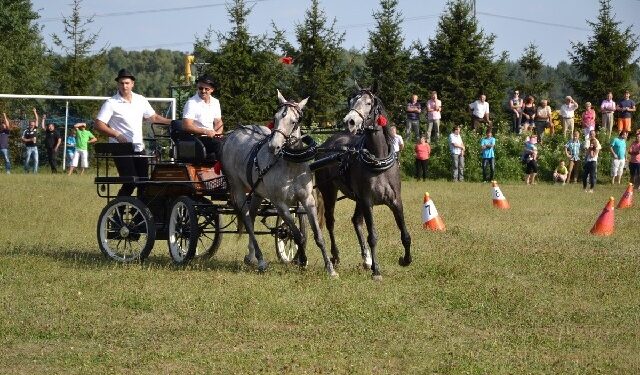 Mielec; Żarówkowa parada