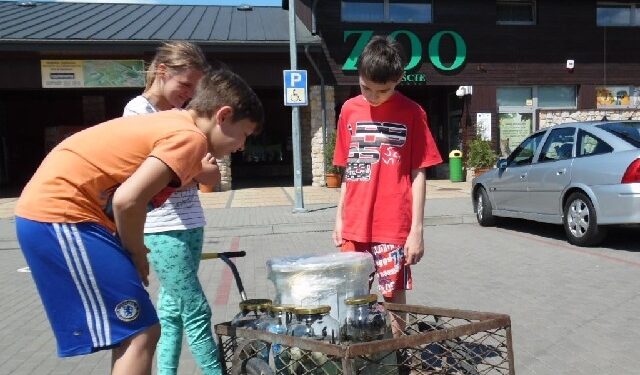 Region: Służba Celna wykryła przemyt 2 tys. chronionych pijawek w pociągu.