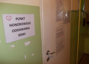 Tarnobrzeg. Oddaj krew latem.