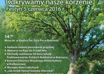Bukowiec: Odkrywamy nasze korzenie