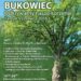 Bukowiec: Odkrywamy nasze korzenie