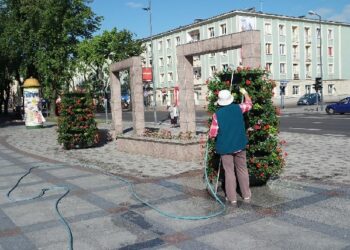 Mielec: Kwiaty i relaks