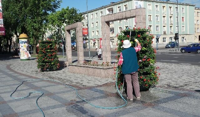 Mielec: Kwiaty i relaks